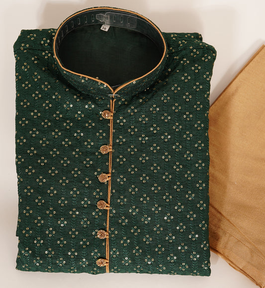 The Bisvesh Kurta